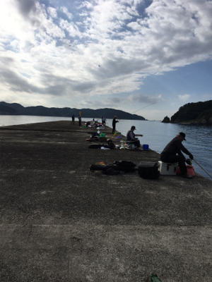 沖堤防でのカゴ釣り