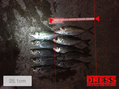 シャローフリーク