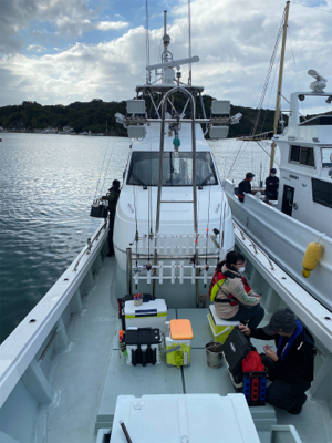 2週連続ティップラン