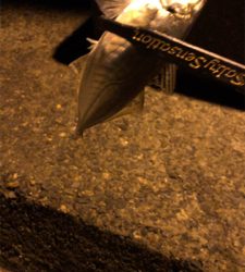 アジングモーニング