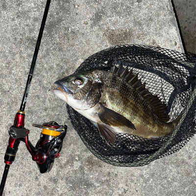 ライトゲーム　IN石川県