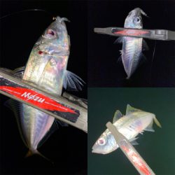 ボトムステイでアジング