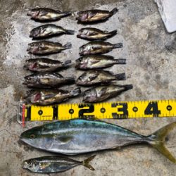 中々渋かった。