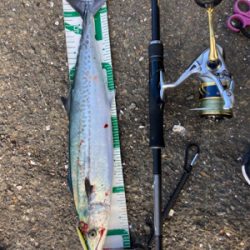 久々の爆釣果！