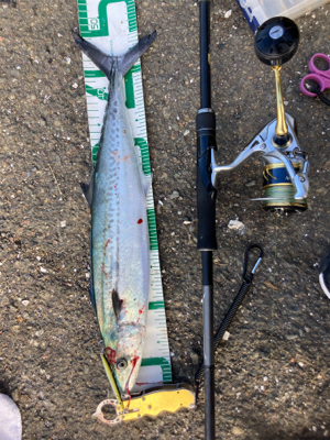 久々の爆釣果！