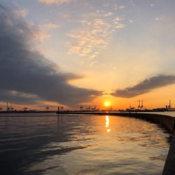 活性が低い時は・・・