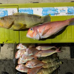 久しぶりの日本海へアマダイ狙い