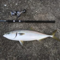 夕方にジアイです！