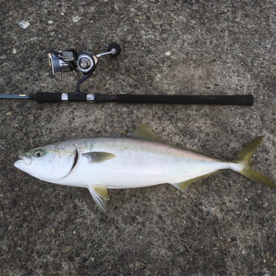 夕方にジアイです！