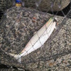 1バイト1ゲット