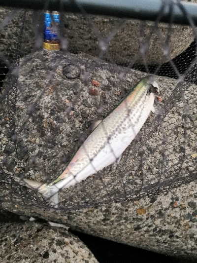 1バイト1ゲット