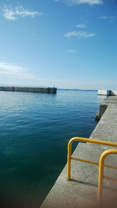 サビキで、小アジ14匹!アイゴ1匹!