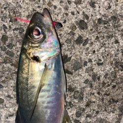 フロートアジング