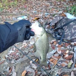 ひさしぶりのバス釣り