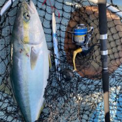 ルンルンルンゴ♪(ジギング)