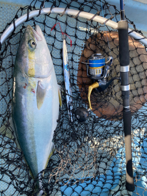 ルンルンルンゴ♪(ジギング)