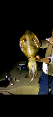 今シーズン初ヤエン