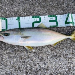 今年最後に‼︎