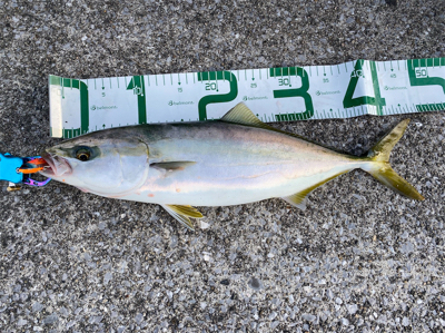 今年最後に‼︎