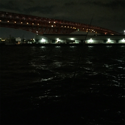 大阪湾奥アジング 鱗つけ