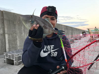 ショアジギング　呑ませ釣り　ぶっ込み