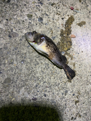 仕事帰りのライトゲーム