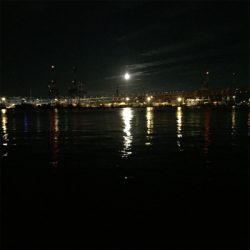 大阪湾奥でメジロゲット!