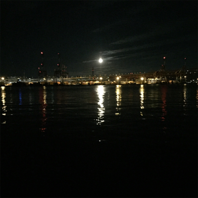 大阪湾奥でメジロゲット!