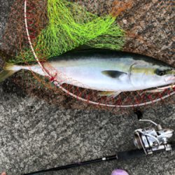 ファイト一発！