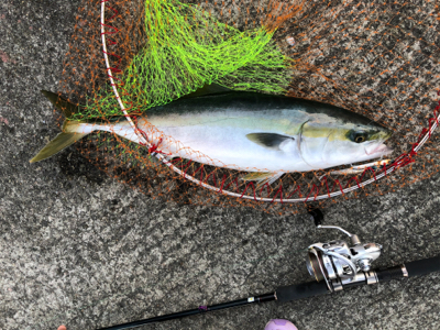 ファイト一発！