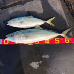 昼間のスーパーナブラ!!