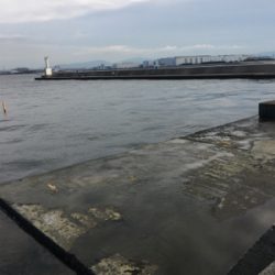 タチウオ、青物反応なし