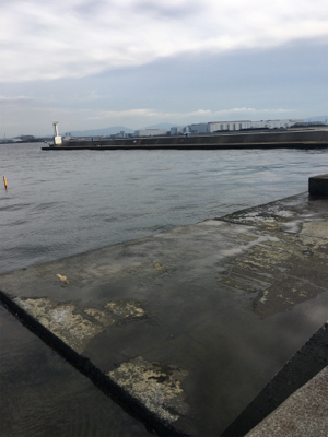 タチウオ、青物反応なし