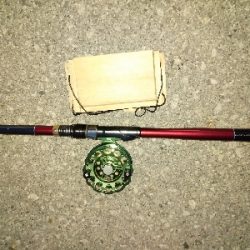 チンタでも満足