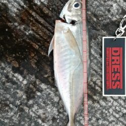 満を持して沖堤へ