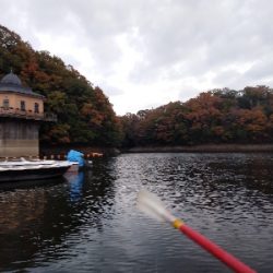 気温暑く釣果寒い