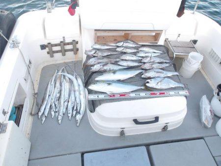 大阪湾　遊漁船SOUTH(サウス)11/5…