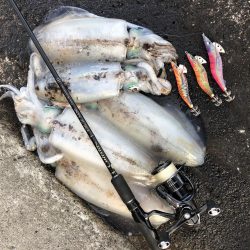 2020佐渡ヶ島エギング 42回目