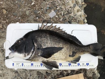 チヌベスト最高！