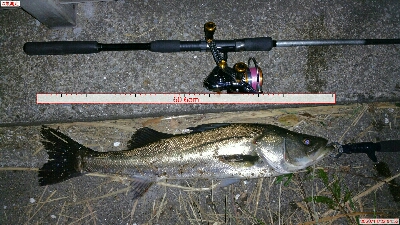 ランガンでの一本