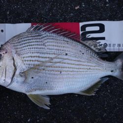 移動して正解！