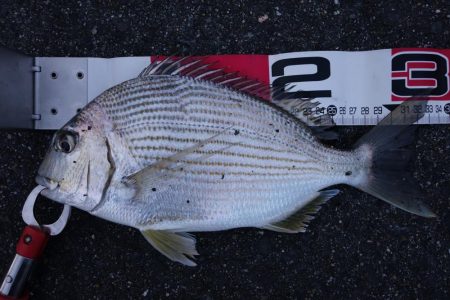 移動して正解！