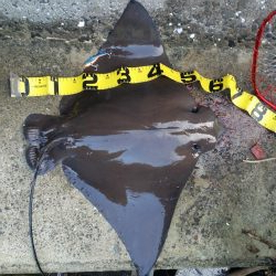 プチsalt water game!