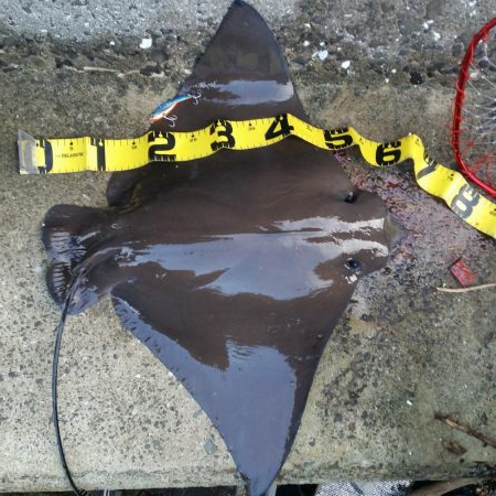 プチsalt water game！