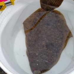 イカ釣りに行ったつもりが…