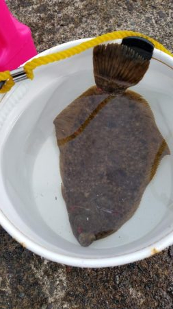 イカ釣りに行ったつもりが…