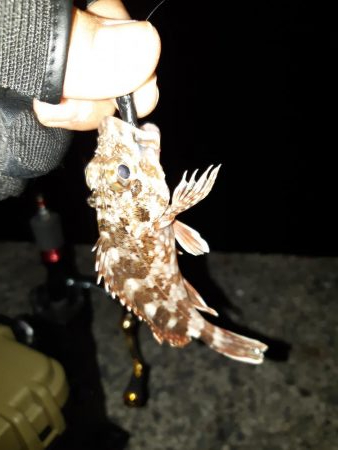 大竹～廿日市調査