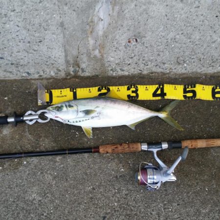 早朝プチsalt water game