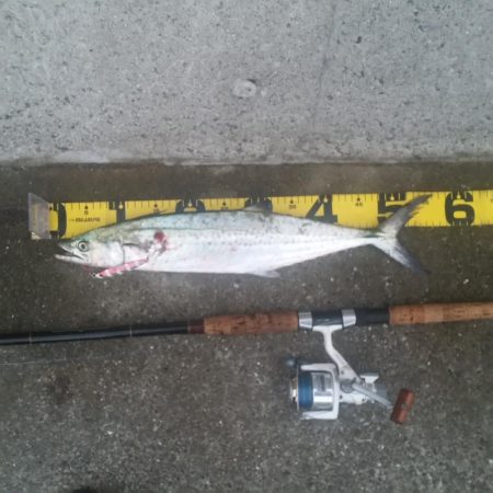 早朝プチsalt water game