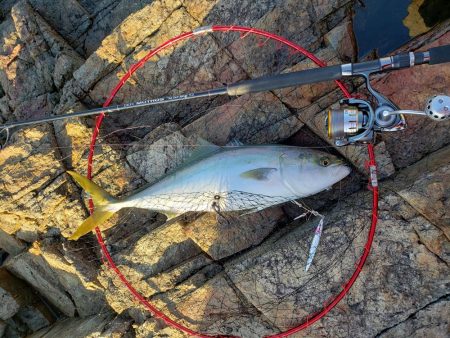 小さいけどこの前のリベンジ(*^-^)